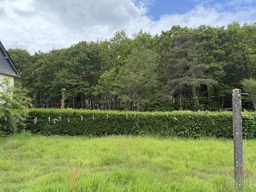 Maison a vendre Merdrignac 22230 Côtes-d'Armor 117 m2  136000 euros