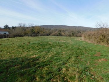 Terrain a batir a vendre Neuville-sur-Ain 01160 Ain 1235 m2  95500 euros
