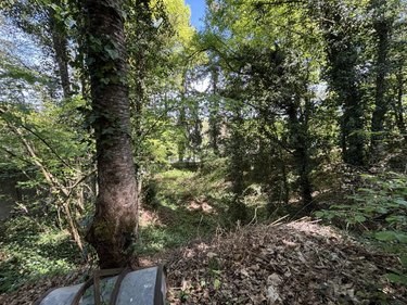 Terrain a batir a vendre Saint-Antoine-du-Rocher 37360 Indre-et-Loire 1748 m2  85600 euros