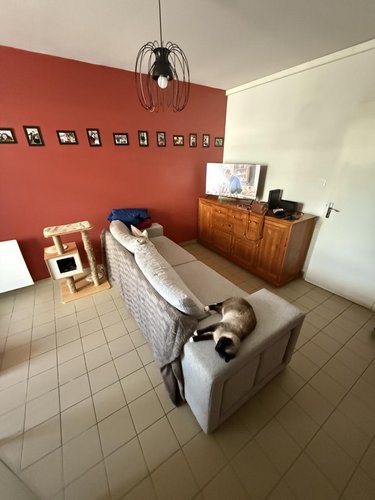 Location appartement Janzé 35150 Ille-et-Vilaine 33 m2 3 pièces 470 euros