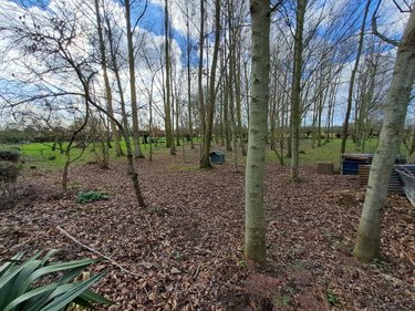 Maison a vendre Andres 62340 Pas-de-Calais 290 m2 5 pièces 364100 euros