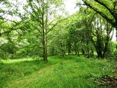 Maison a vendre Lignol 56160 Morbihan 90 m2 4 pièces 168450 euros