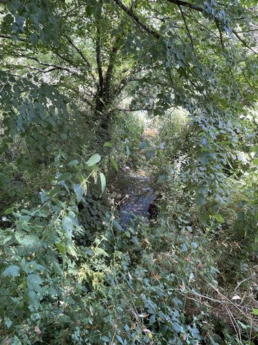 Terrains de loisirs bois etangs a vendre Ploemeur 56270 Morbihan 10363 m2  4000 euros
