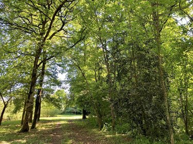Terrains de loisirs bois etangs a vendre Parcé-sur-Sarthe 72300 Sarthe 10610 m2  26750 euros