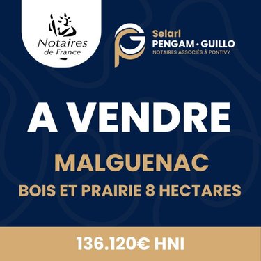 Divers a vendre Malguénac 56300 Morbihan 870 m2  136120 euros