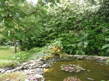 Maison a vendre Soucelles 49140 Maine-et-Loire 137 m2 7 pièces 346500 euros