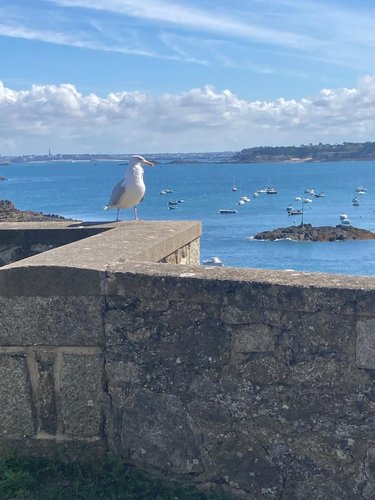 Maison a vendre Saint-Lunaire 35800 Ille-et-Vilaine 120 m2  1495600 euros