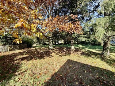 Maison a vendre Pluneret 56400 Morbihan 34 m2 1 pièce 96000 euros