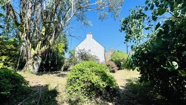 Maison a vendre Saint-Barthélemy 56150 Morbihan 75 m2 3 pièces 105040 euros