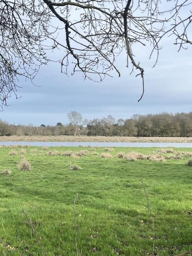 Terrains de loisirs bois etangs a vendre Cantenay-Épinard 49460 Maine-et-Loire 72482 m2  15000 euros