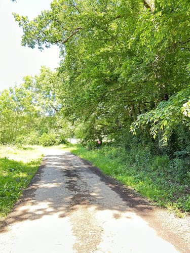 Maison a vendre Carentoir 56910 Morbihan 110 m2 5 pièces 259750 euros
