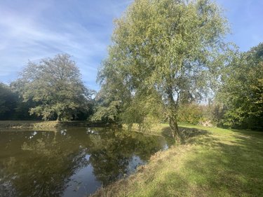 Terrains de loisirs bois etangs a vendre Lombron 72450 Sarthe 5800 m2  19800 euros
