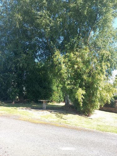 Maison a vendre La Colombe 50800 Manche 75 m2 3 pièces 132650 euros