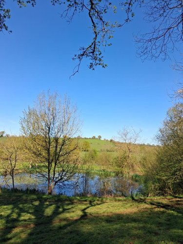 Maison a vendre Montrevault-sur-Èvre 49110 Maine-et-Loire 250 m2 9 pièces 354900 euros