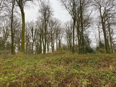 Terrains de loisirs bois etangs a vendre Champ-du-Boult 14380 Calvados 36976 m2  56710 euros