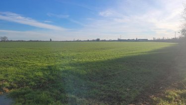 Terrains de loisirs bois etangs a vendre Précigné 72300 Sarthe 116373 m2  41091 euros