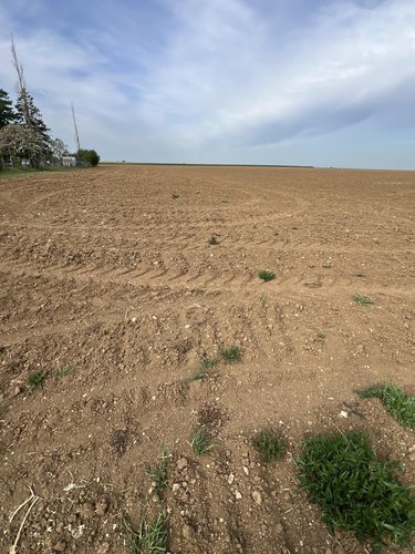 Terrain a batir a vendre Binas 41240 Loir-et-Cher 1104 m2  28000 euros