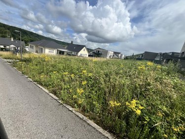 Terrain a batir a vendre Rancenay 25320 Doubs 775 m2  87100 euros