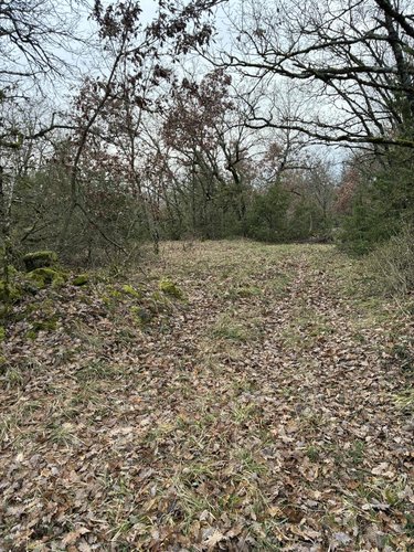 Terrains de loisirs bois etangs a vendre Saint-Jean-d'Alcapiès 12250 Aveyron 80070 m2  54000 euros