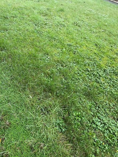 Terrain a batir a vendre Saint-Malo 35400 Ille-et-Vilaine 423 m2  223385 euros