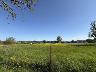 Terrain a batir a vendre Faissault 08270 Ardennes 1232 m2  32000 euros