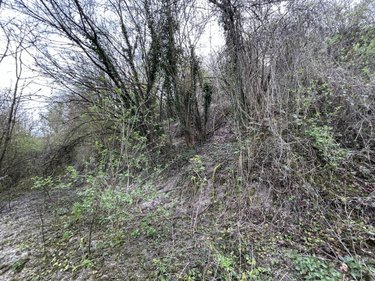 Divers a vendre Corbie 80800 Somme 7990 m2  17000 euros