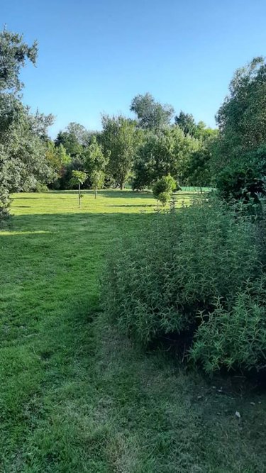 Maison a vendre Saint-Jean-Trolimon 29120 Finistère 113 m2 5 pièces 305000 euros