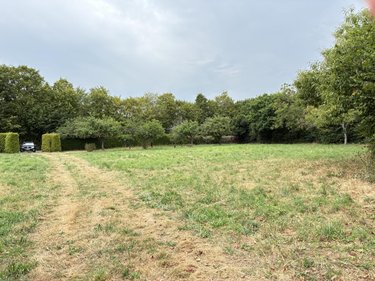 Terrains de loisirs bois etangs a vendre Brée 53150 Mayenne 8114 m2  69000 euros