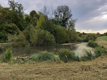 Divers a vendre Muret-et-Crouttes 02210 Aisne 8800 m2  55600 euros