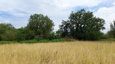 Terrain a batir a vendre Allonnes 49650 Maine-et-Loire 1200 m2  35000 euros