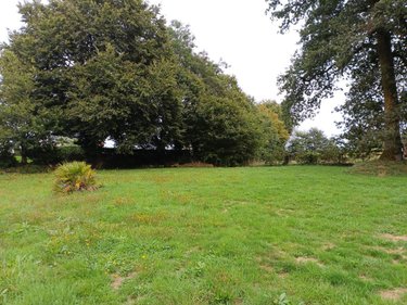 Terrain a batir a vendre Plouay 56240 Morbihan 871 m2  142335 euros