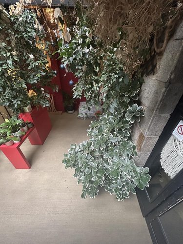 Maison a vendre Saint-Brieuc 22000 Côtes-d'Armor 310 m2  561800 euros