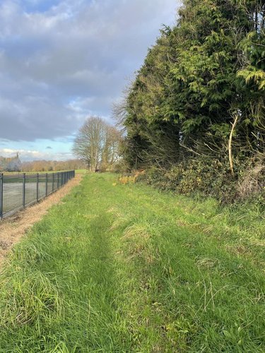 Terrain a batir a vendre Ménéac 56490 Morbihan 5063 m2  33960 euros
