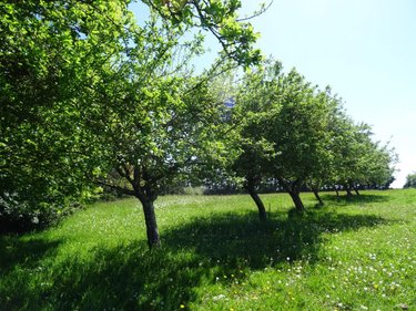 Maison a vendre Maisoncelles-du-Maine 53170 Mayenne 232 m2 9 pièces 397400 euros