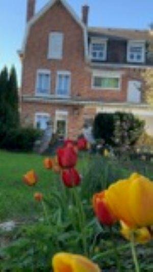 Maison a vendre Walincourt-Selvigny 59127 Nord 282 m2 11 pièces 305000 euros