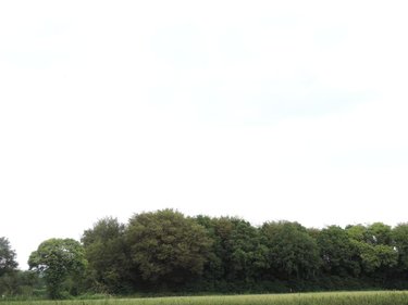 Maison a vendre Plougonver 22810 Côtes-d'Armor 102 m2 4 pièces 79425 euros