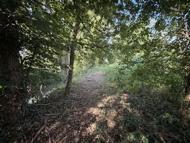 Terrain a batir a vendre Saint-Euphraise-et-Clairizet 51390 Marne 2478 m2  75000 euros