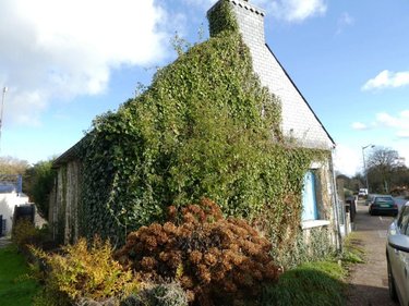 Maison a vendre Lignol 56160 Morbihan 60 m2 3 pièces 40500 euros