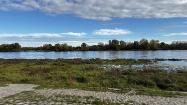 Immeuble a vendre Bouchemaine 49080 Maine-et-Loire 88 m2  294000 euros