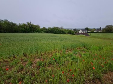 Terrain a batir a vendre Montoire-sur-le-Loir 41800 Loir-et-Cher 849 m2  29400 euros