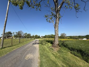 Terrain a batir a vendre Faissault 08270 Ardennes 1232 m2  32000 euros