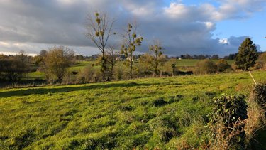 Maison a vendre Chérencé-le-Héron 50800 Manche 117 m2 7 pièces 159000 euros