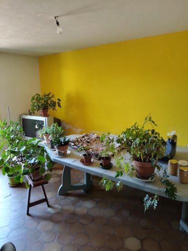 Maison a vendre La Guierche 72380 Sarthe 122 m2 7 pièces 187920 euros