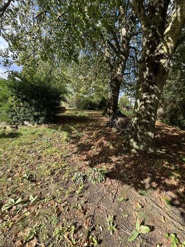 Maison a vendre Rilly-sur-Vienne 37220 Indre-et-Loire 95 m2  84800 euros