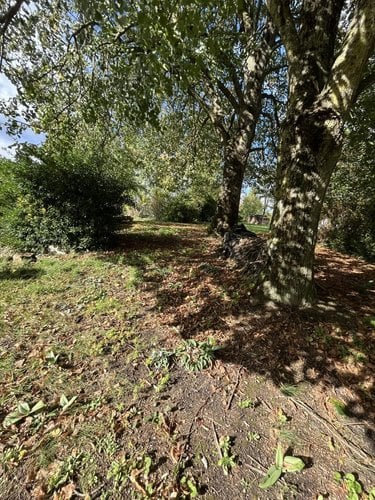 Maison a vendre Rilly-sur-Vienne 37220 Indre-et-Loire 95 m2  95400 euros