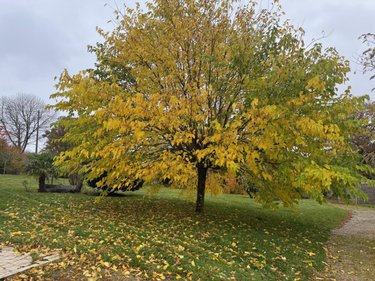 Maison a vendre Noues de Sienne 14380 Calvados 133 m2 5 pièces 169540 euros