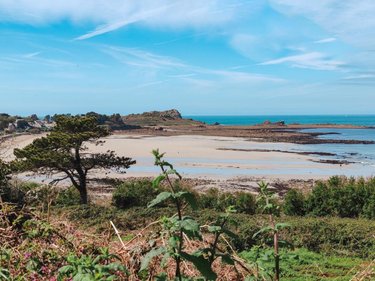Terrain a batir a vendre Plougasnou 29630 Finistère 479 m2  72725 euros