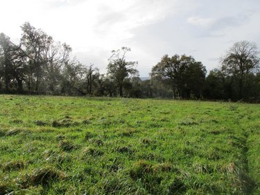Divers a vendre Carhaix-Plouguer 29270 Finistère 9840 m2  95400 euros