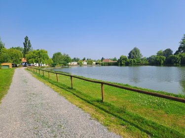 Fonds et murs commerciaux a vendre Ardres 62610 Pas-de-Calais 100 m2  693548 euros