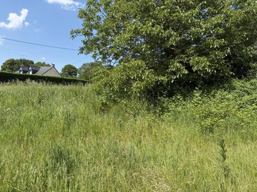 Maison a vendre Coëtlogon 22210 Côtes-d'Armor 68 m2  113520 euros